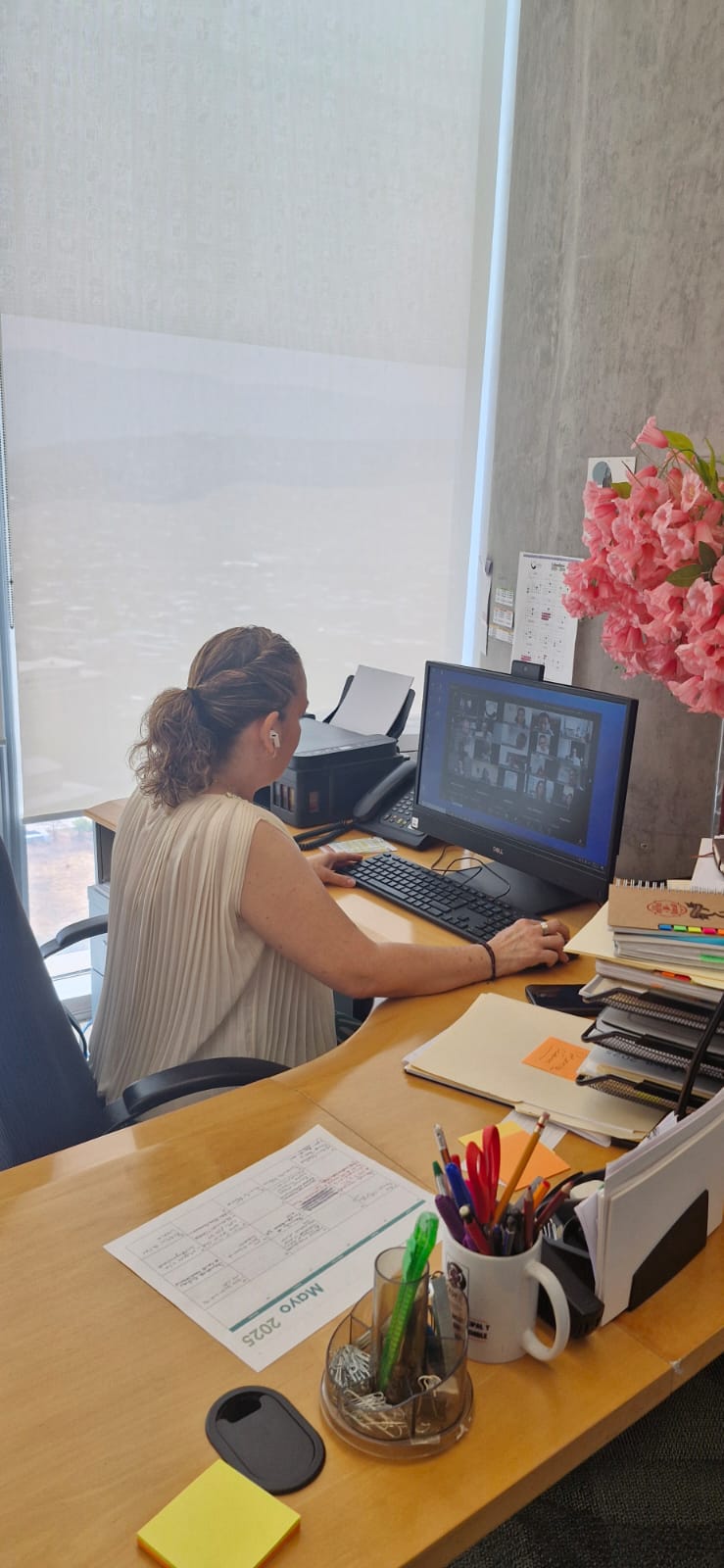 Videoconferencia presidida por la Dra. Vania Pérez Morales, Presidenta de la Red Nacional de CPC’S de los Sistemas Anticorrupción.